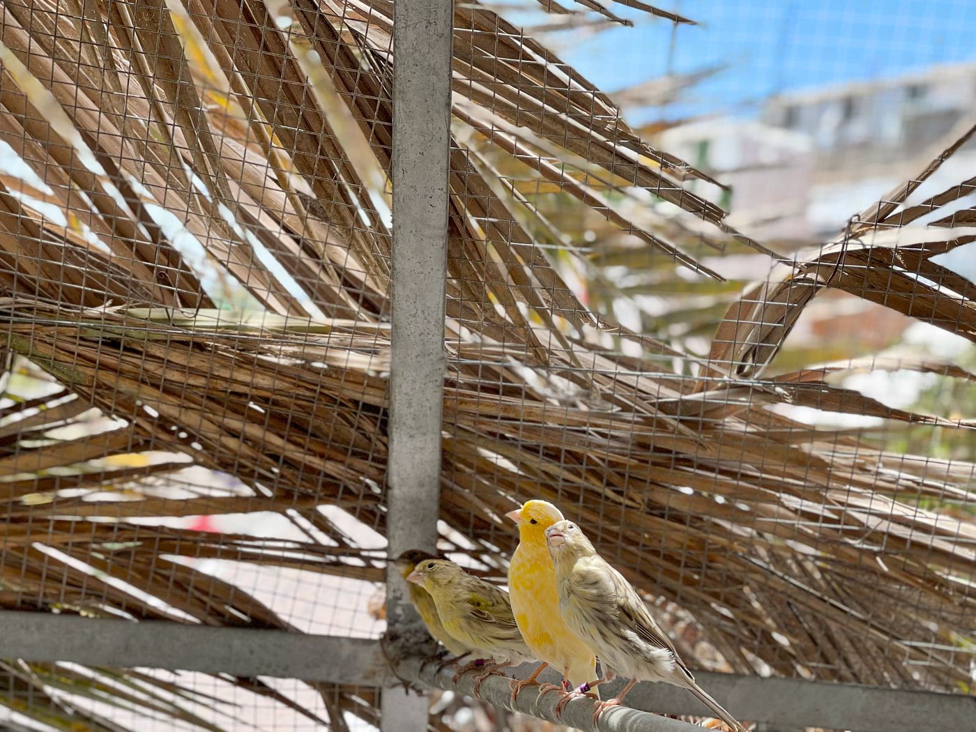Parque Raquel Bungalows