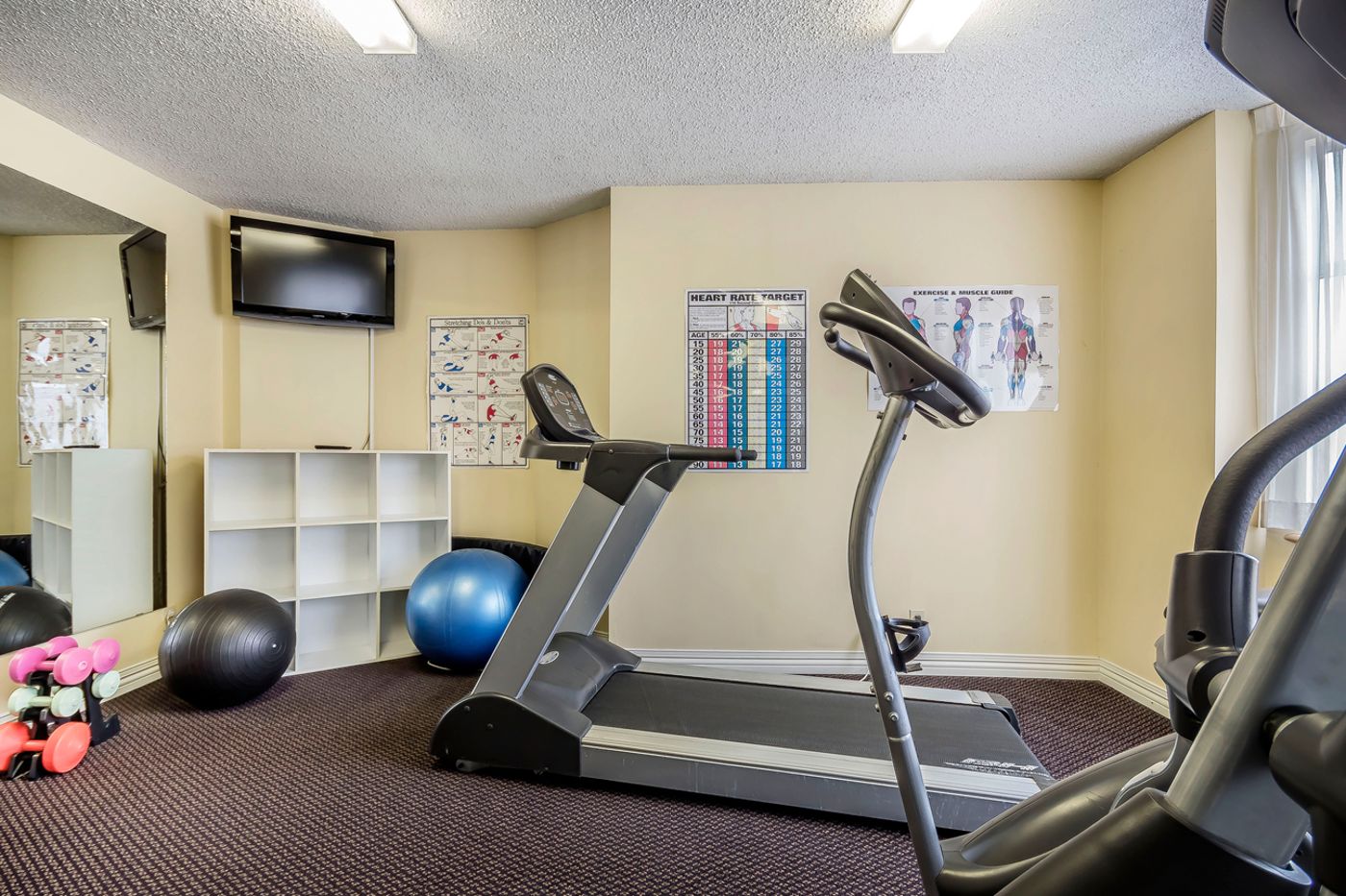 Best-Western-Plus-Vancouver-Airport-Hotel-Sports-and-Entertainment-43