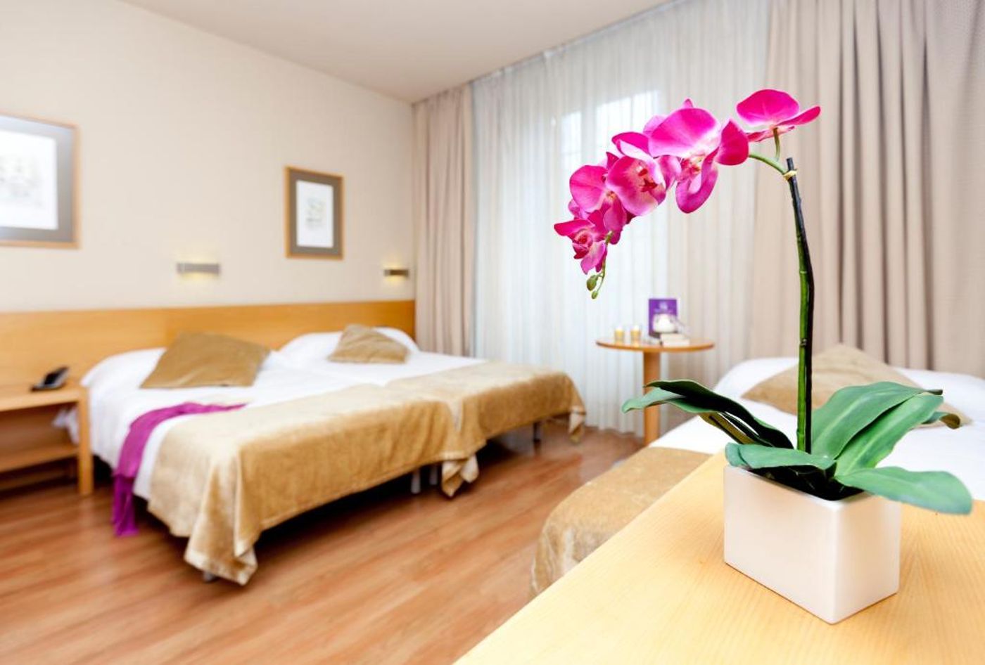 Victoria 4 Puerta del Sol - Spain - MADRID - Room - 1