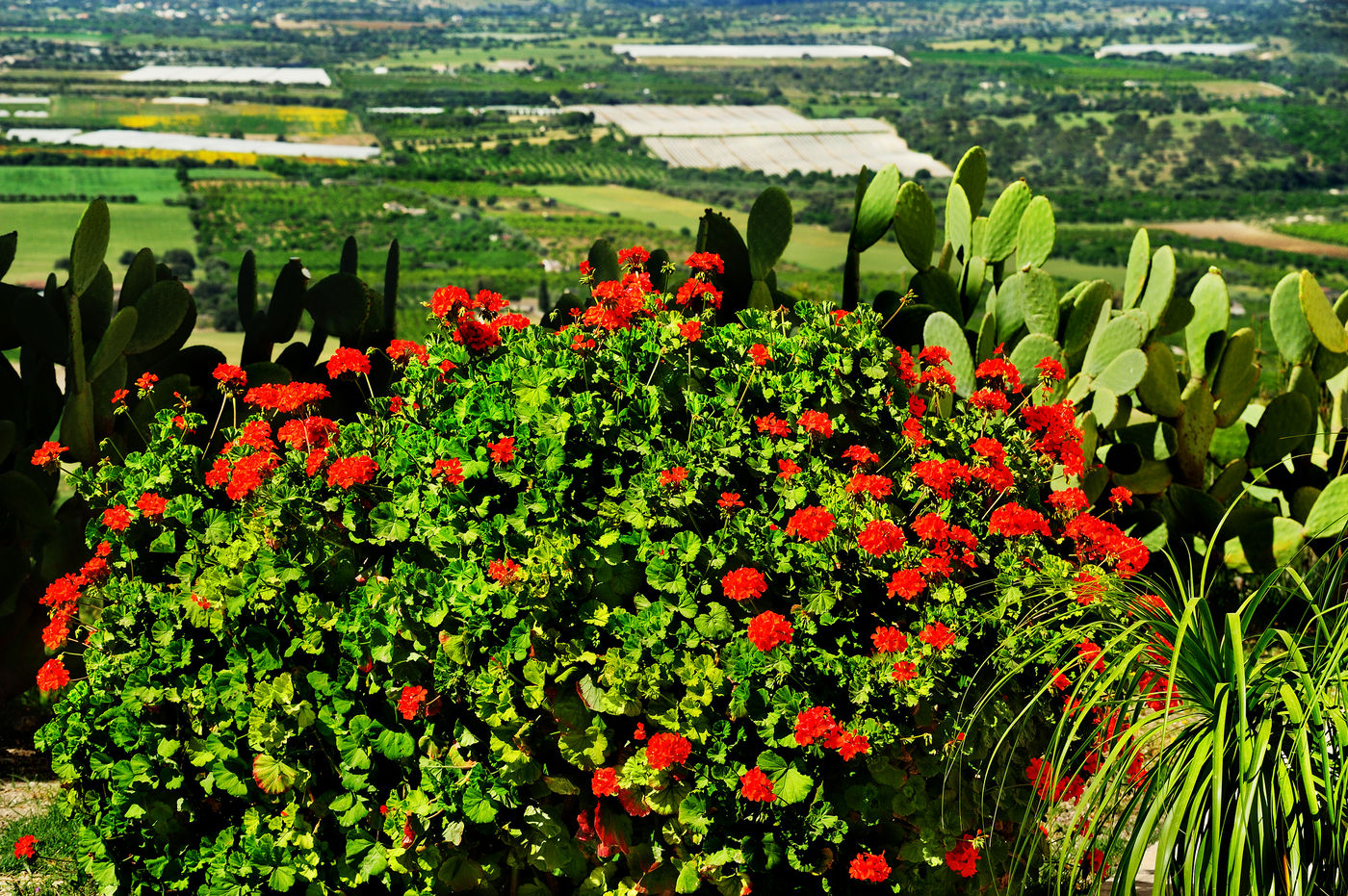 Kallikoros-Hotel-Spa-and-Resort-Restaurant-67