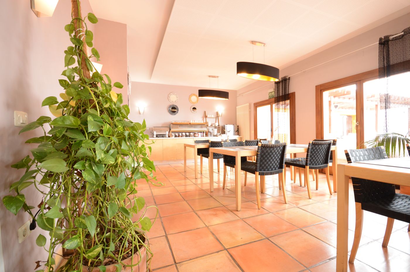 Alta-Monta----a-Bar-35