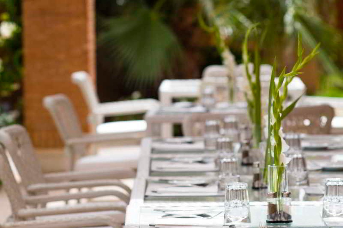 Le-Vizir-Center-Park---Resort-Restaurant-45