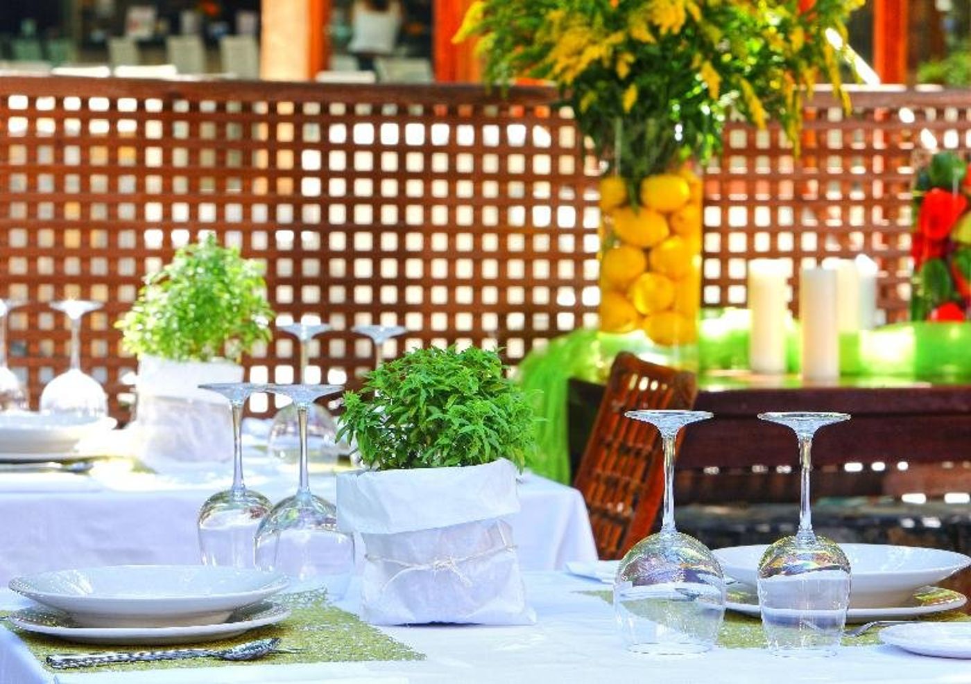 Apollonia-Beach-Restaurant-48