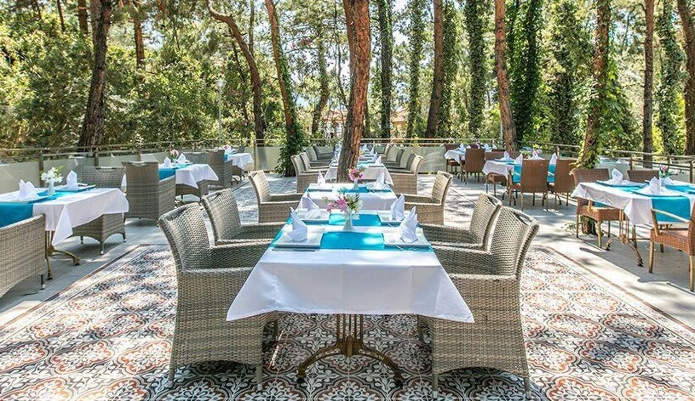 Pine Club Boutique Hotel & Spa