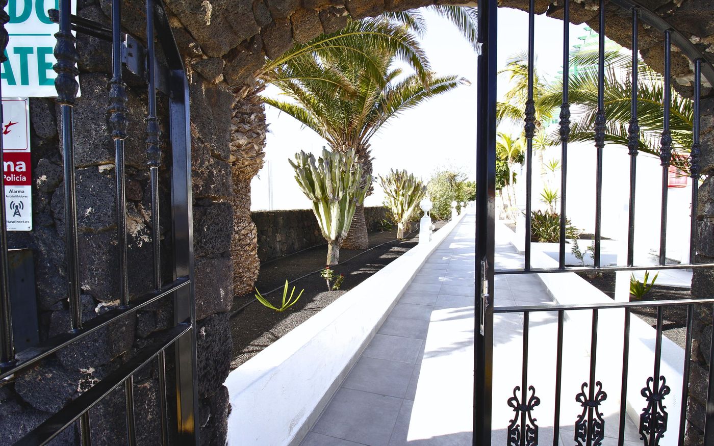 Aloe-General-view-22