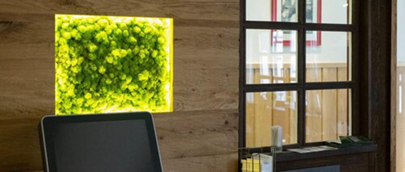 Hotel Schneider - Germany - LICH - Lobby - 1