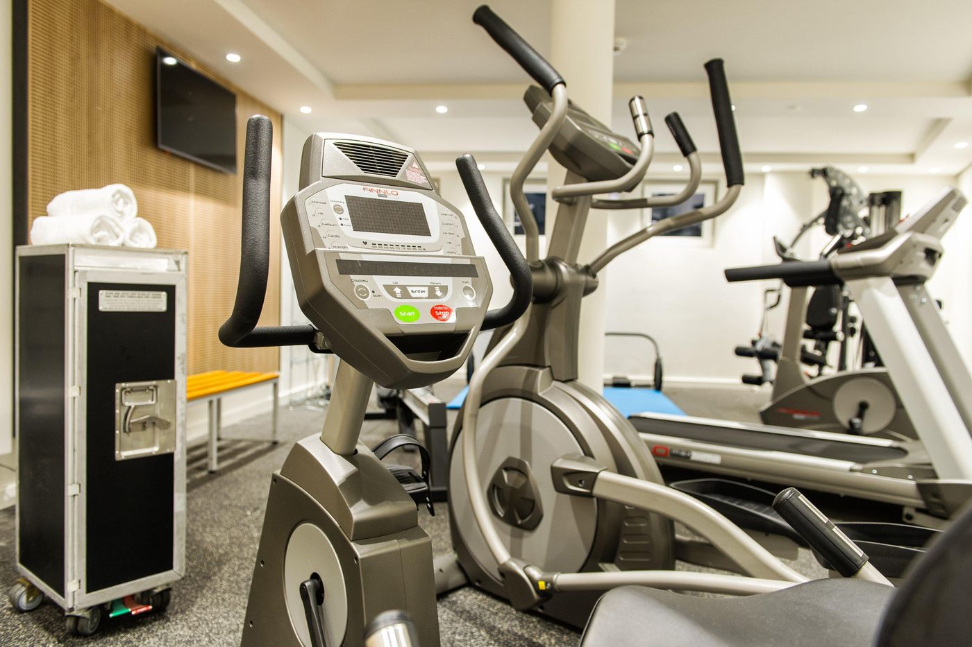 Holiday Inn Frankfurt Airport - Germany - Frankfurt - Sports and Entertainment - 4