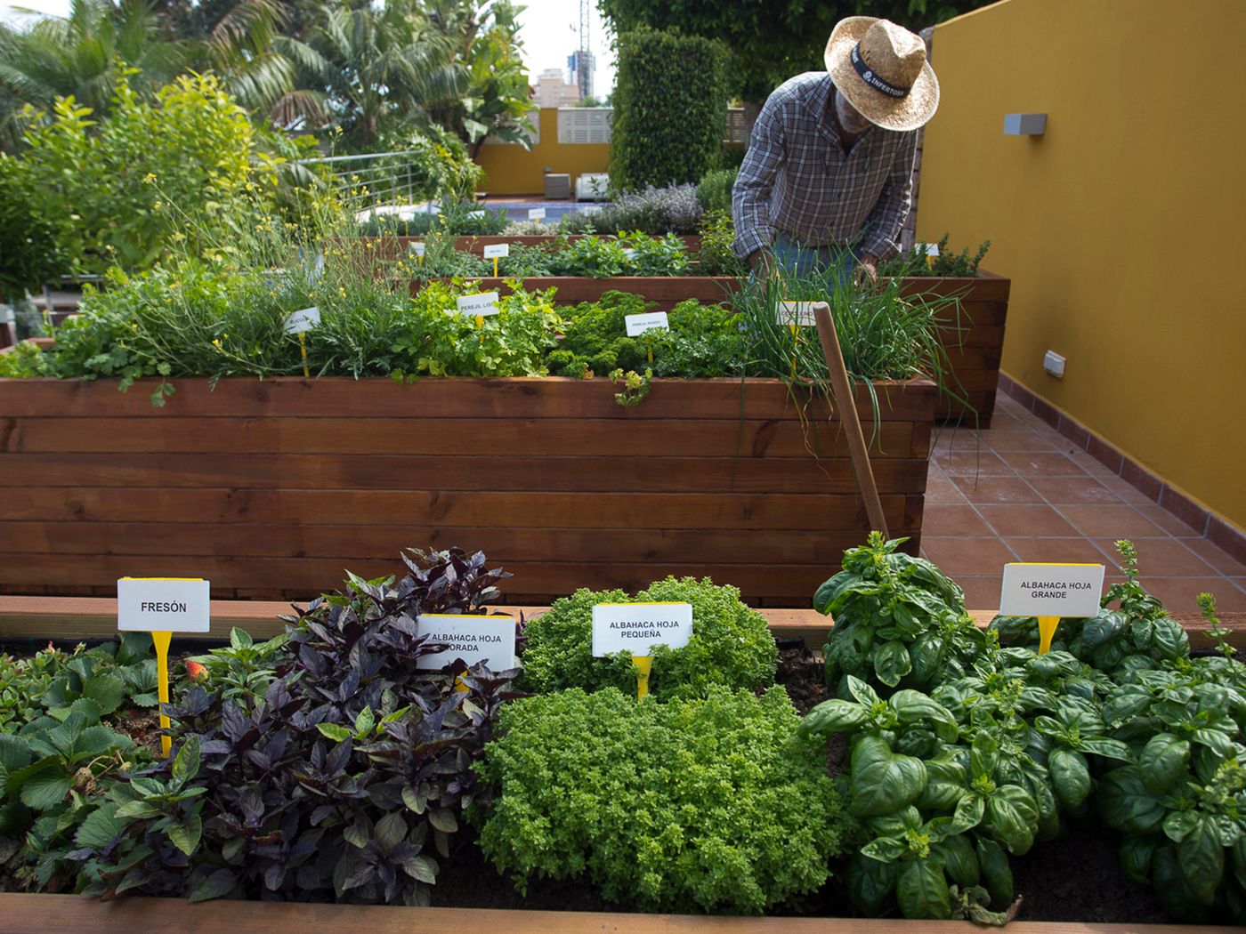 The-Cook-Book-Gastro-Boutique-Hotel---Spa-Terrace-11