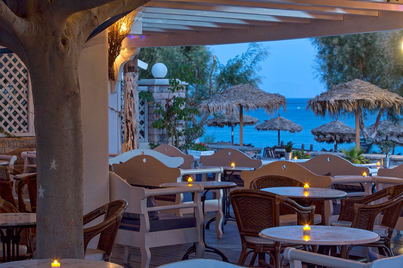 Veggera-General-view-68