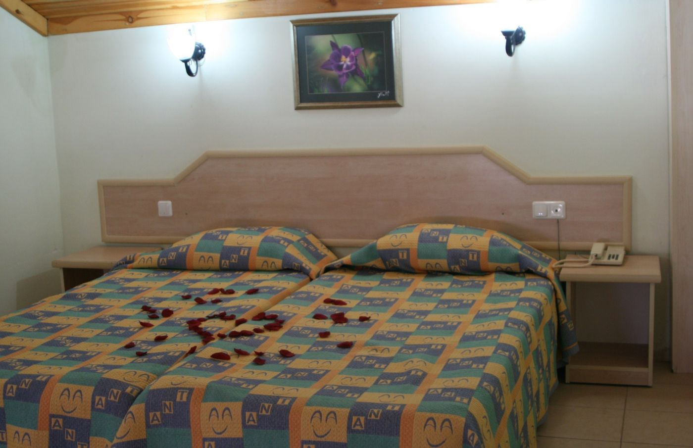 Ant-Apartments-Room-31