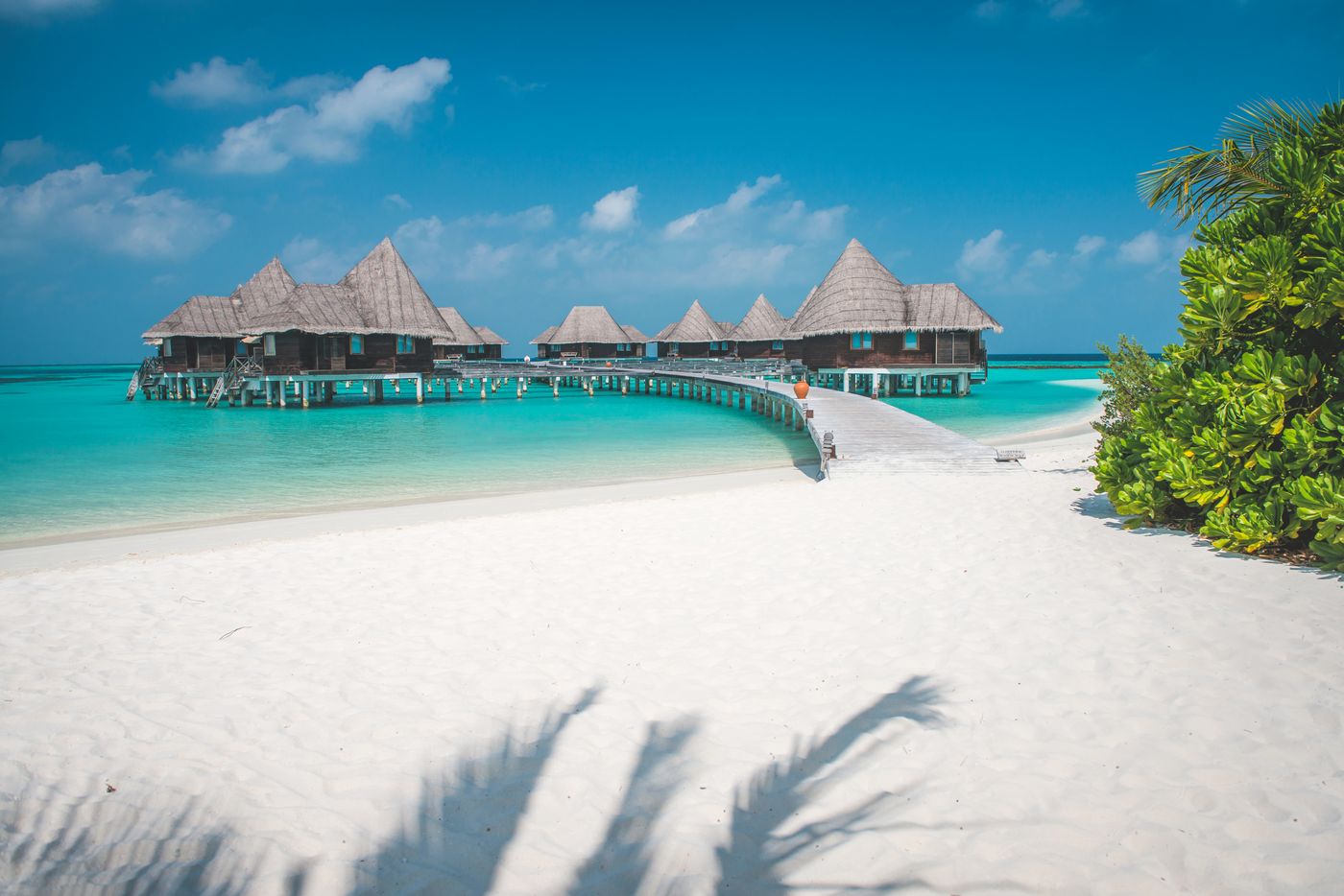 Coco Palm Dhuni Kolhu