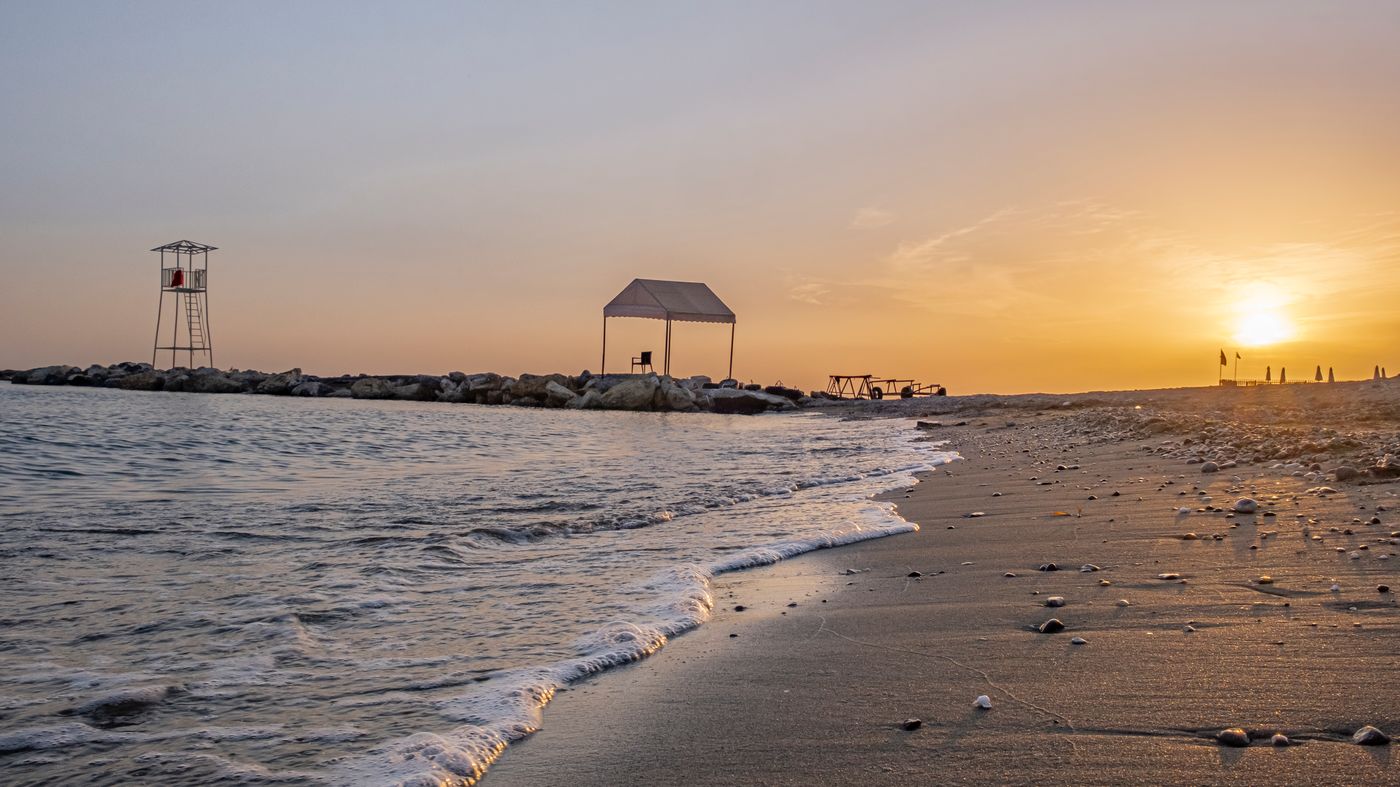 Aydinbey Gold Dreams