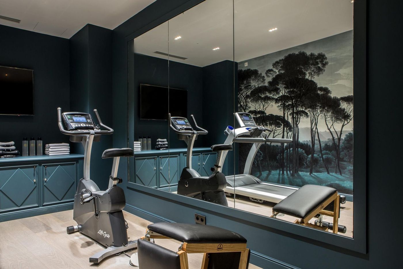 Charles-V-General-view-63