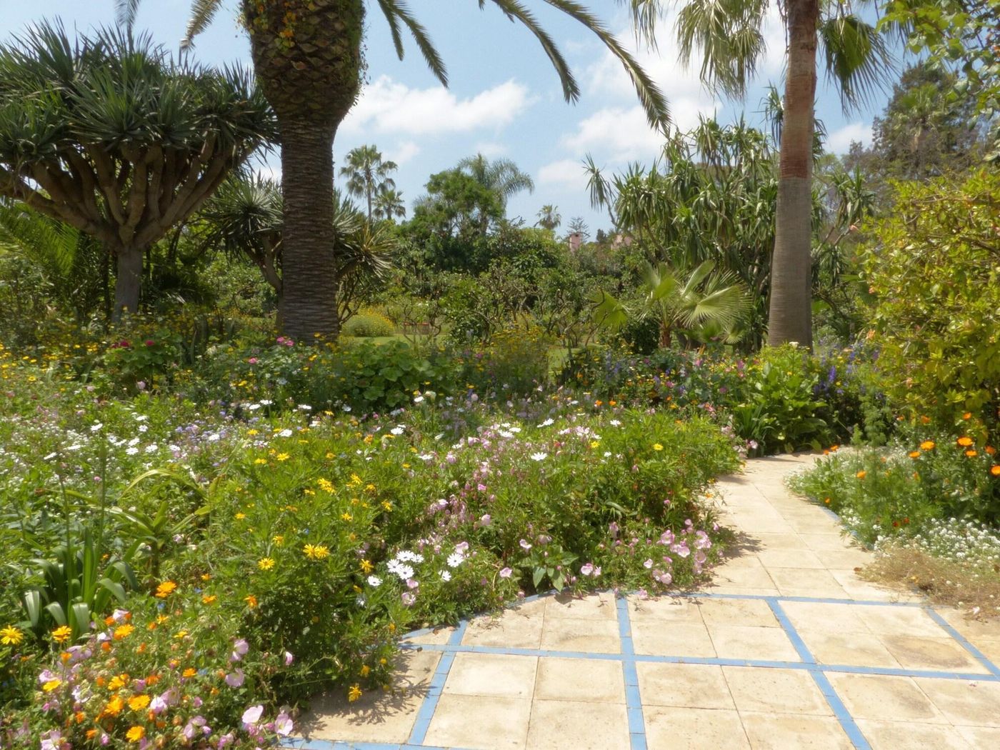 Villa Mandarine-Morocco-RABAT -General view-4