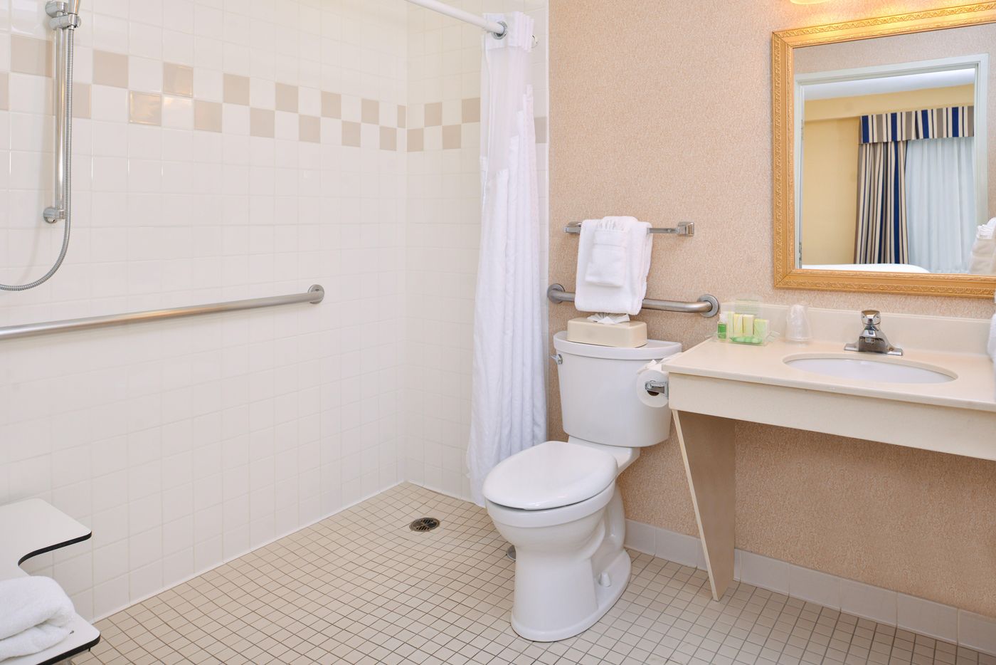 Holiday Inn and Suites Chicago-Downtown - United States - CHICAGO - Room - 8