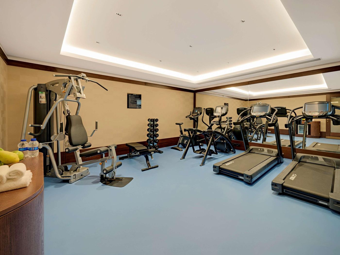 The-Galata-Istanbul-Hotel-MGallery-Sports-and-Entertainment-77