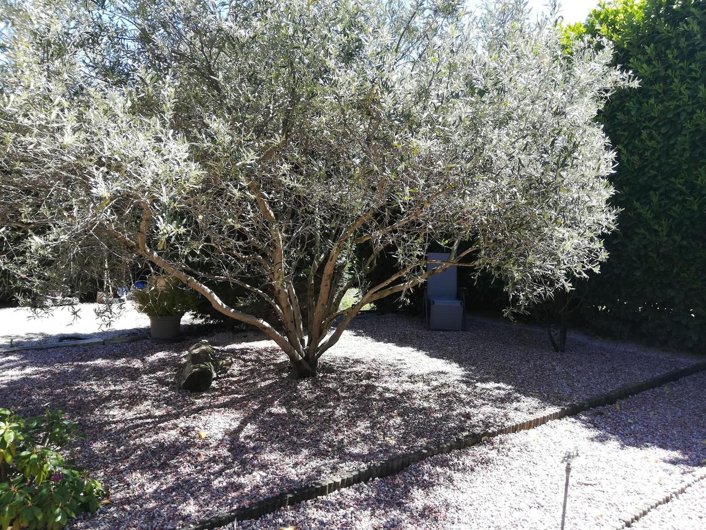 Villa Angel-France-CAUNES-MINERVOIS-General view-8