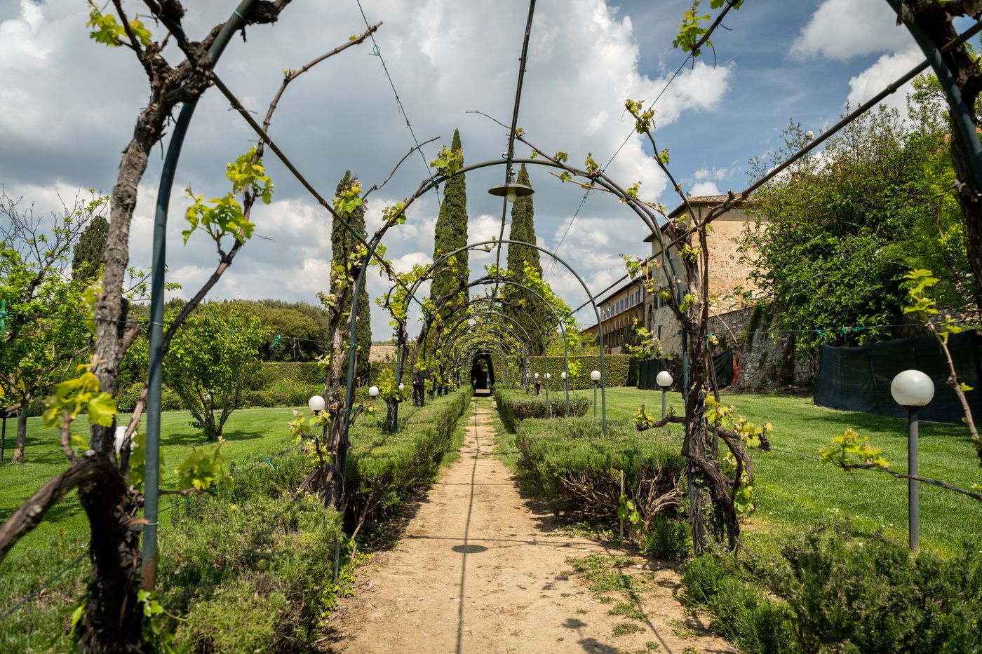 La-Certosa-di-Pontignano-General-view-19
