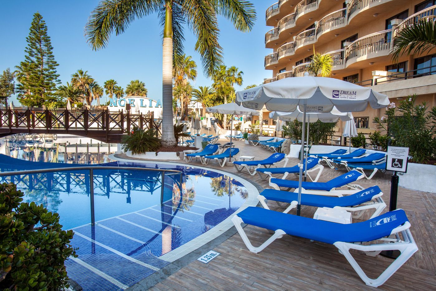 Tigotan-Lovers---Friends-Playa-de-Las-Americas---Adults-Only--18---Pool-8