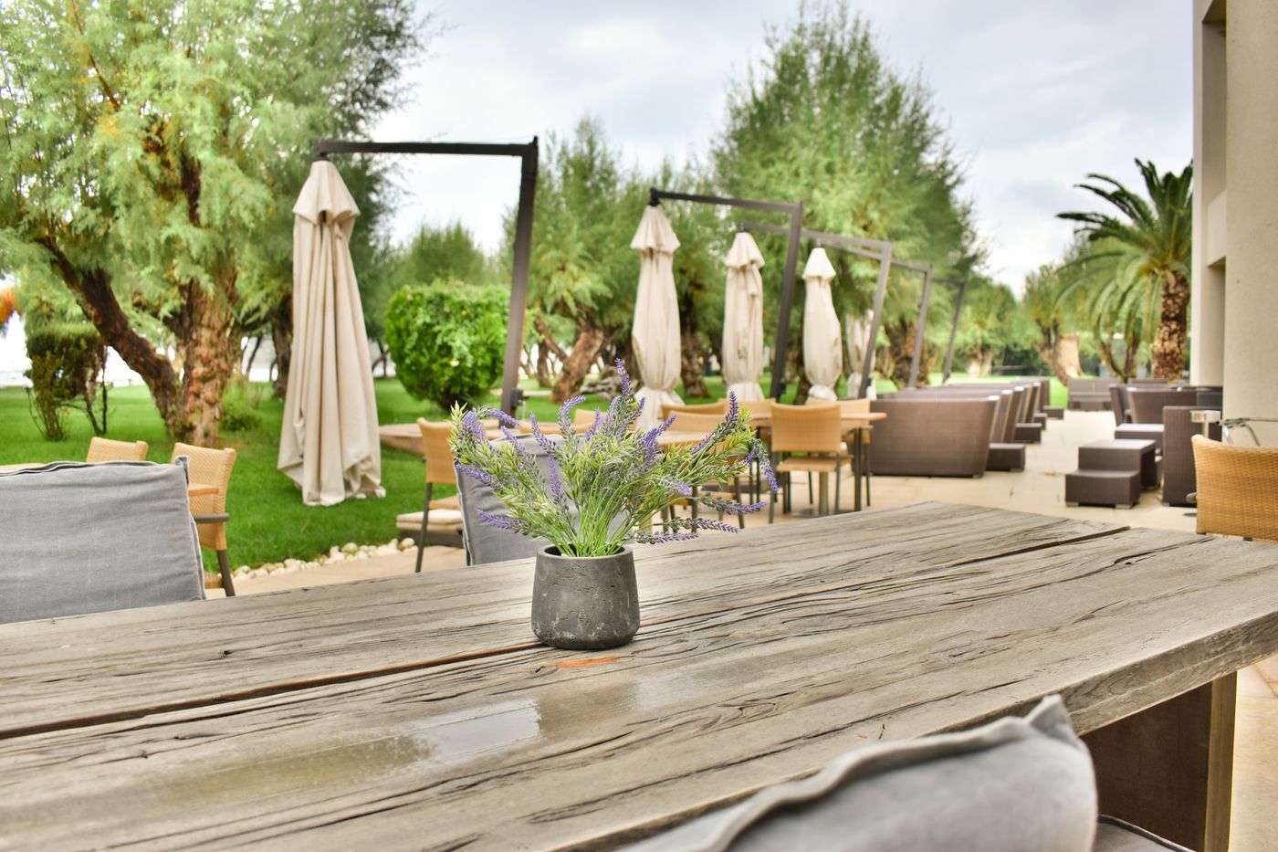 Plaza-Resort-Hotel-Restaurant-41