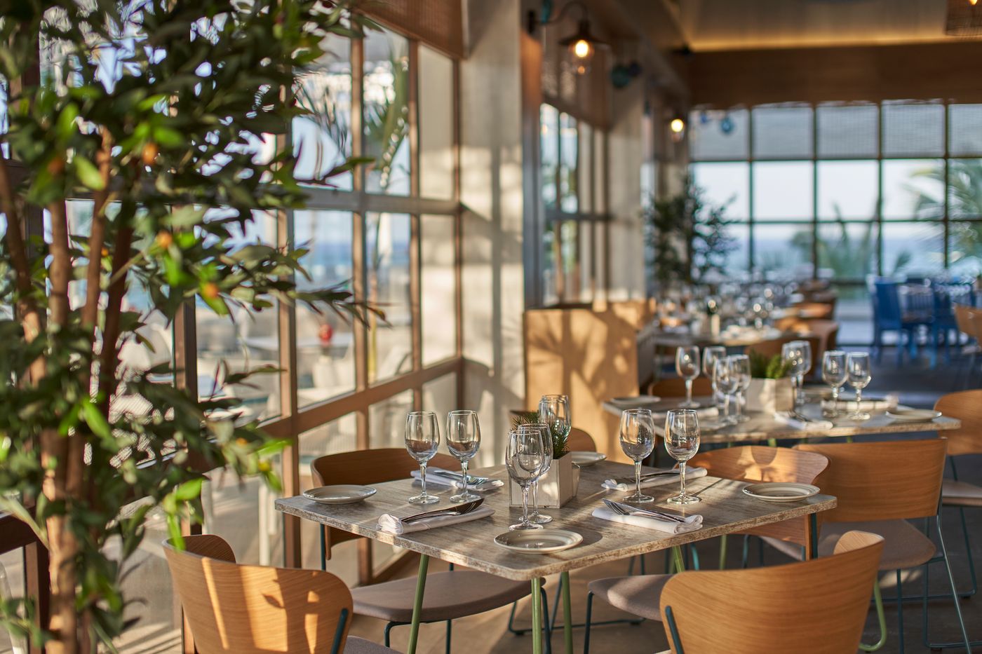 Bahia Principe Grand Bavaro