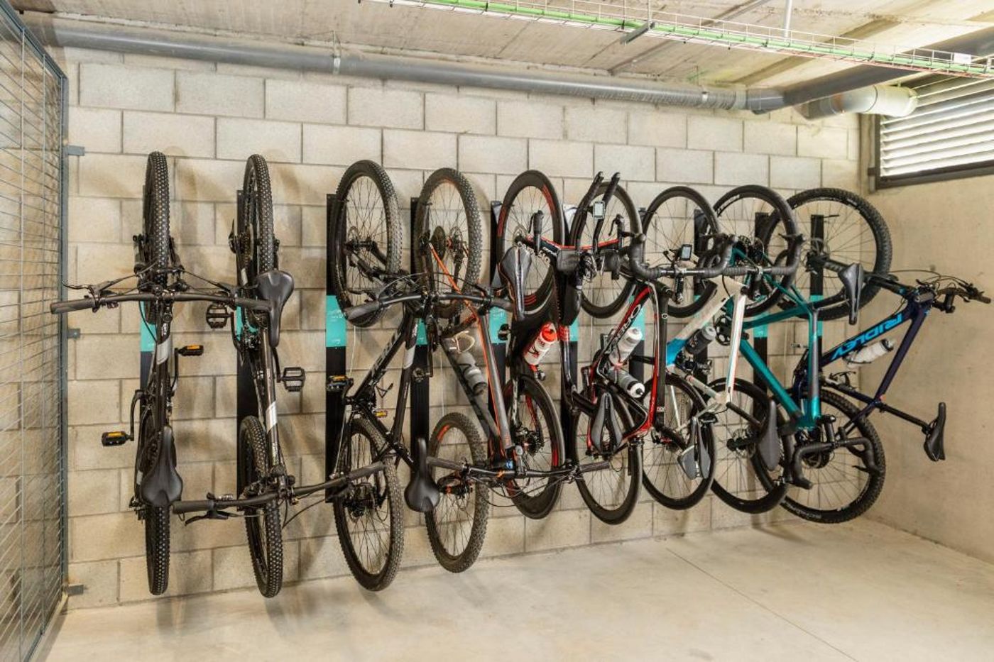 Lavida-Sports-and-Entertainment-26