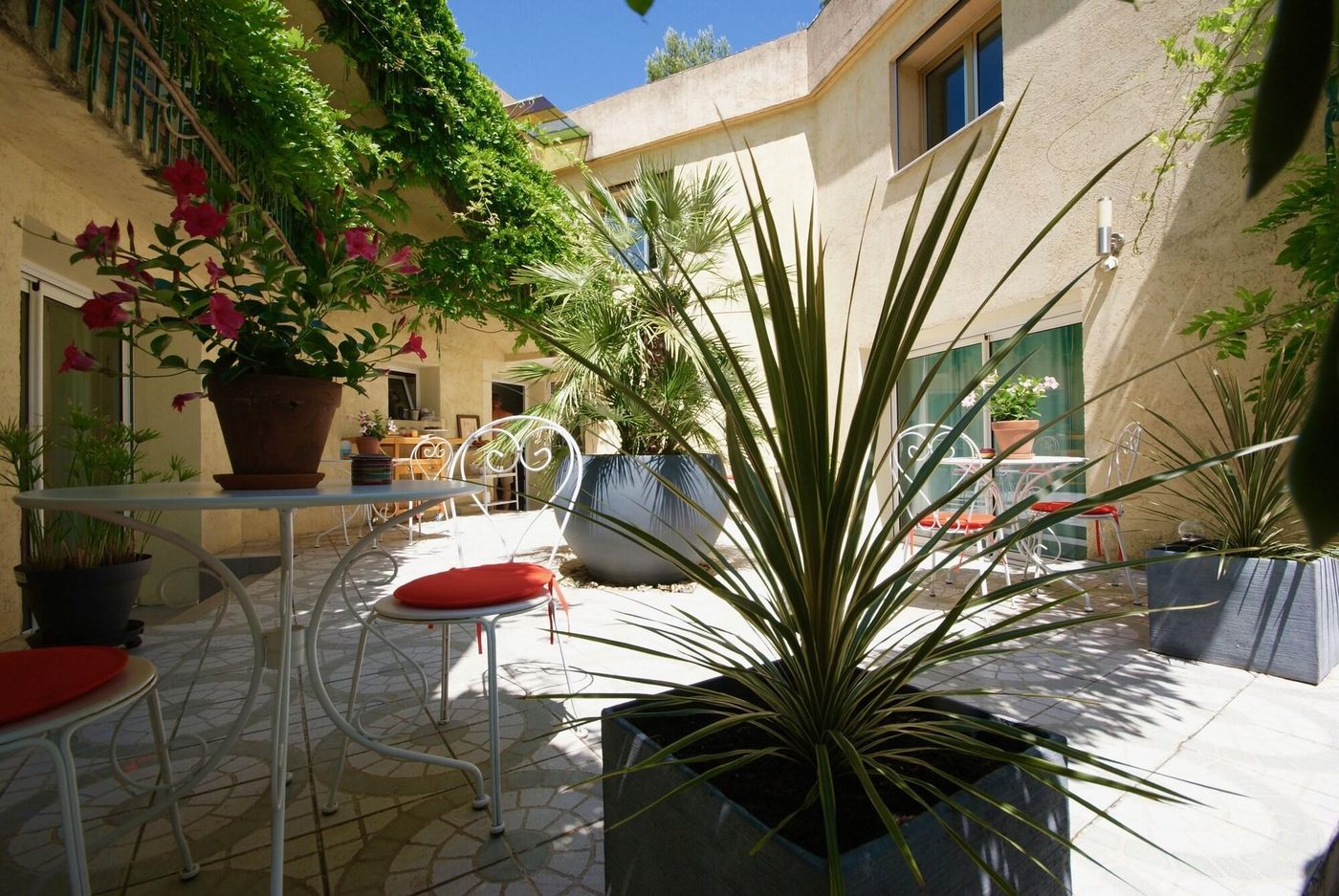 Couette Et Cafe - France - MONTPELLIER - Terrace - 4