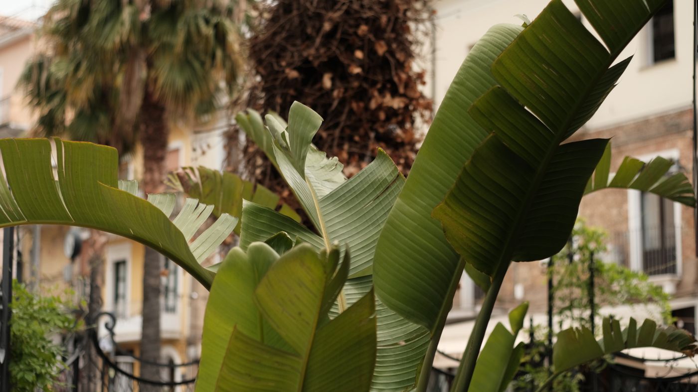 Albergo Centrale-Italy-LAMEZIA TERME-Lobby-7