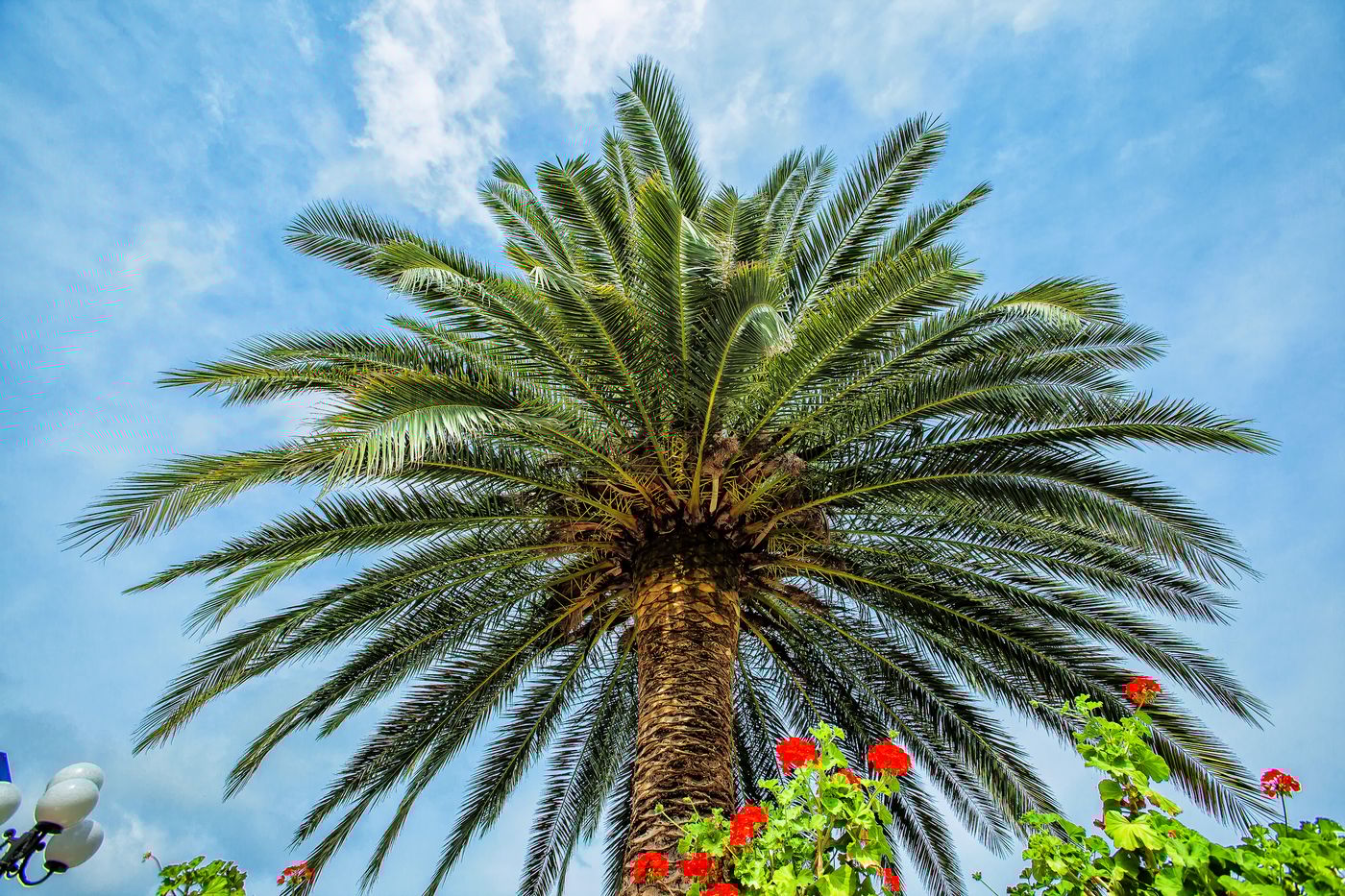 Port-Marina-General-view-17