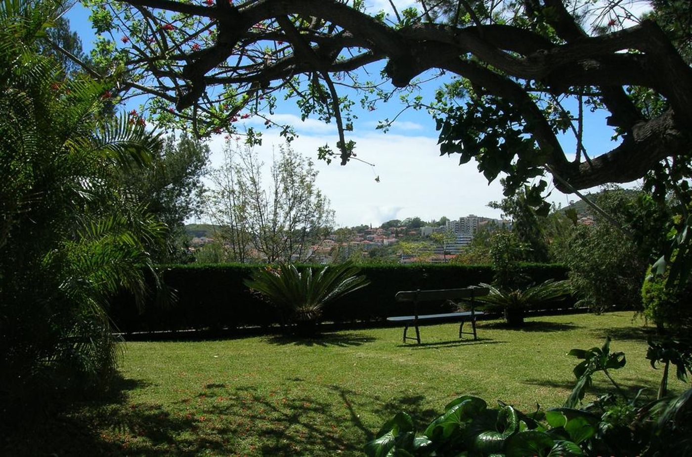 Quinta das Vistas Palace Gardens