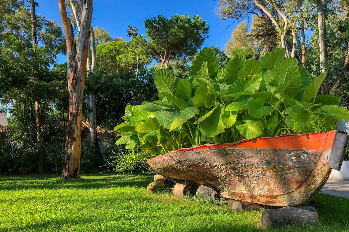 Arbatax-Park-Resort---Cottage-General-view-49