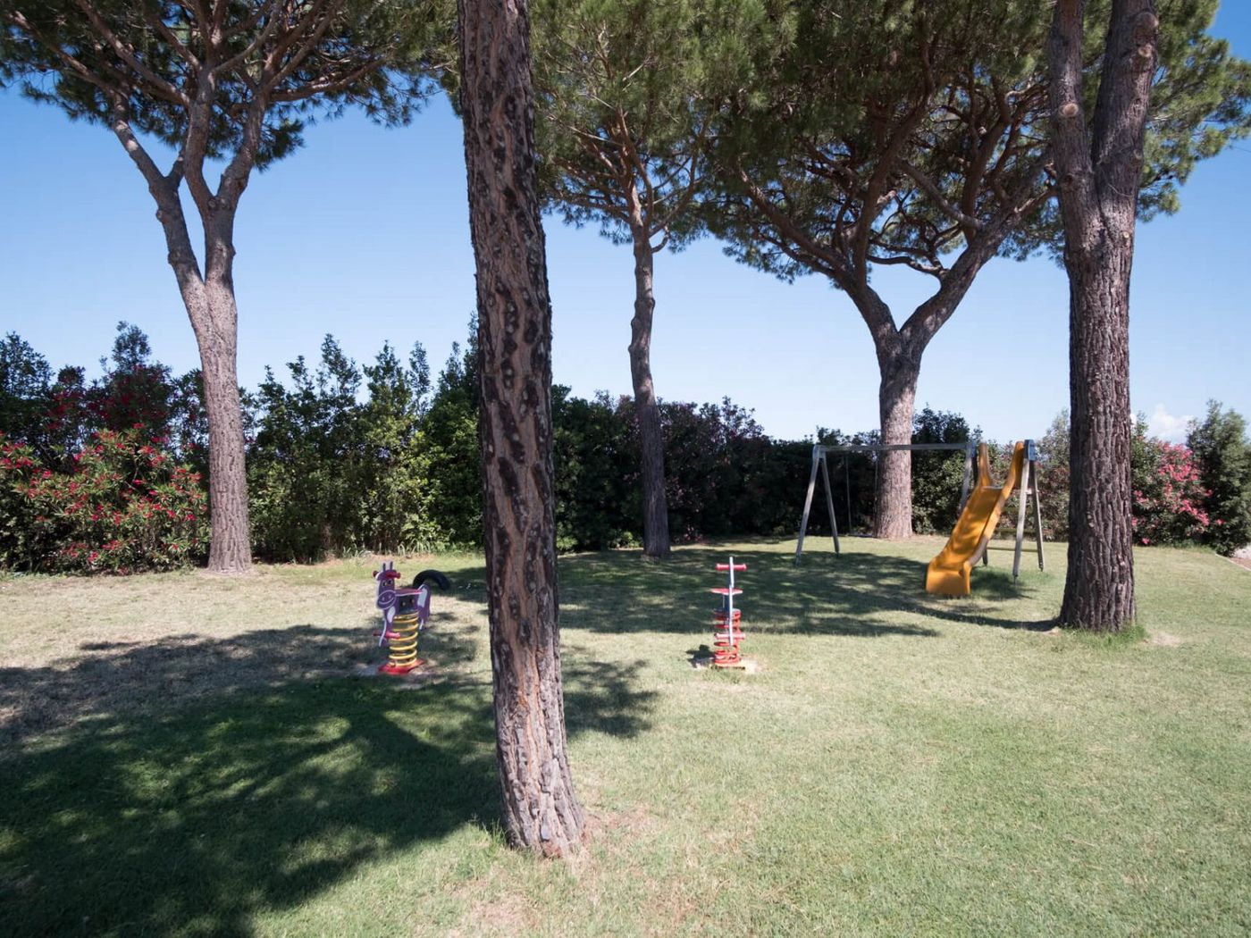 Fattoria-San-Lorenzo-Sports-and-Entertainment-55