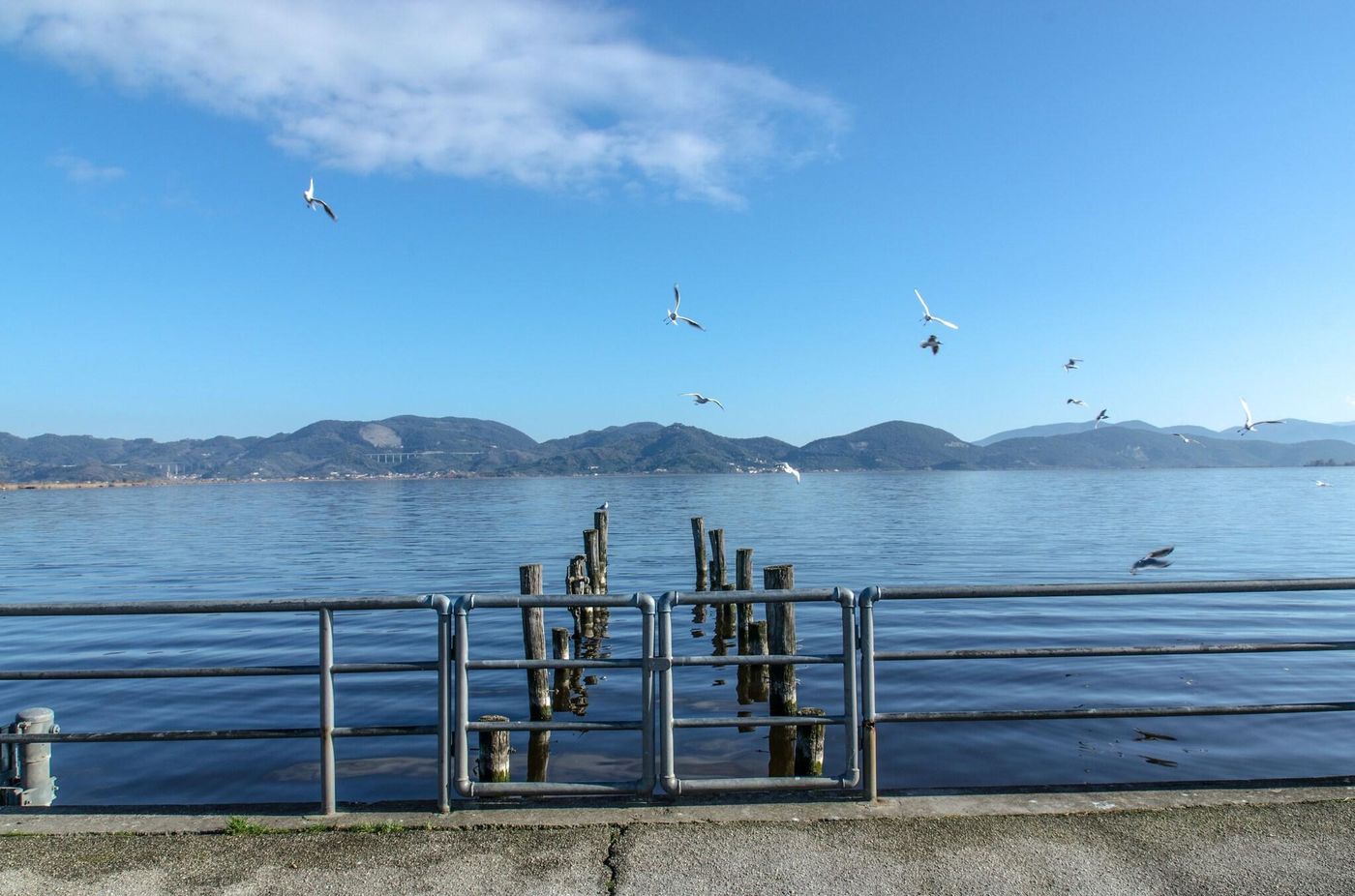 Butterfly-Terrace-11