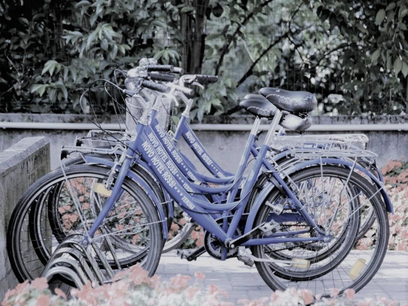 Novo Hotel Rossi - Italy - VERONA - Sports and Entertainment - 1