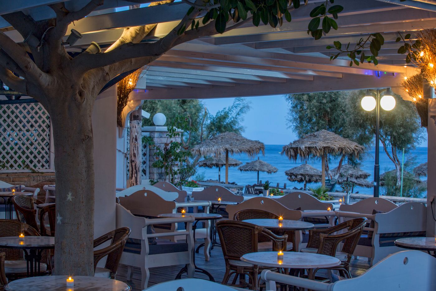 Veggera-General-view-16