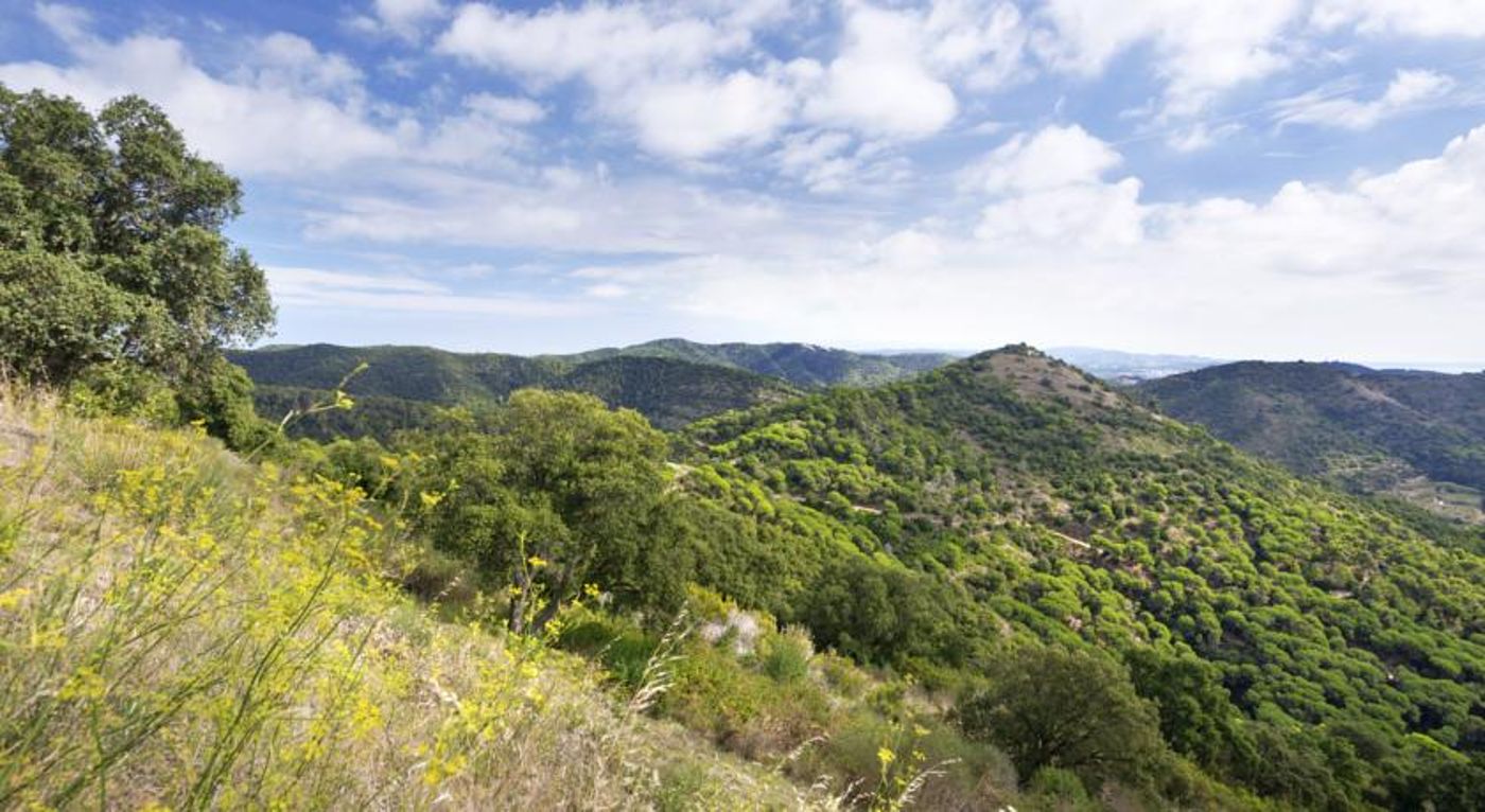 Merce-Hotel-Sports-and-Entertainment-45