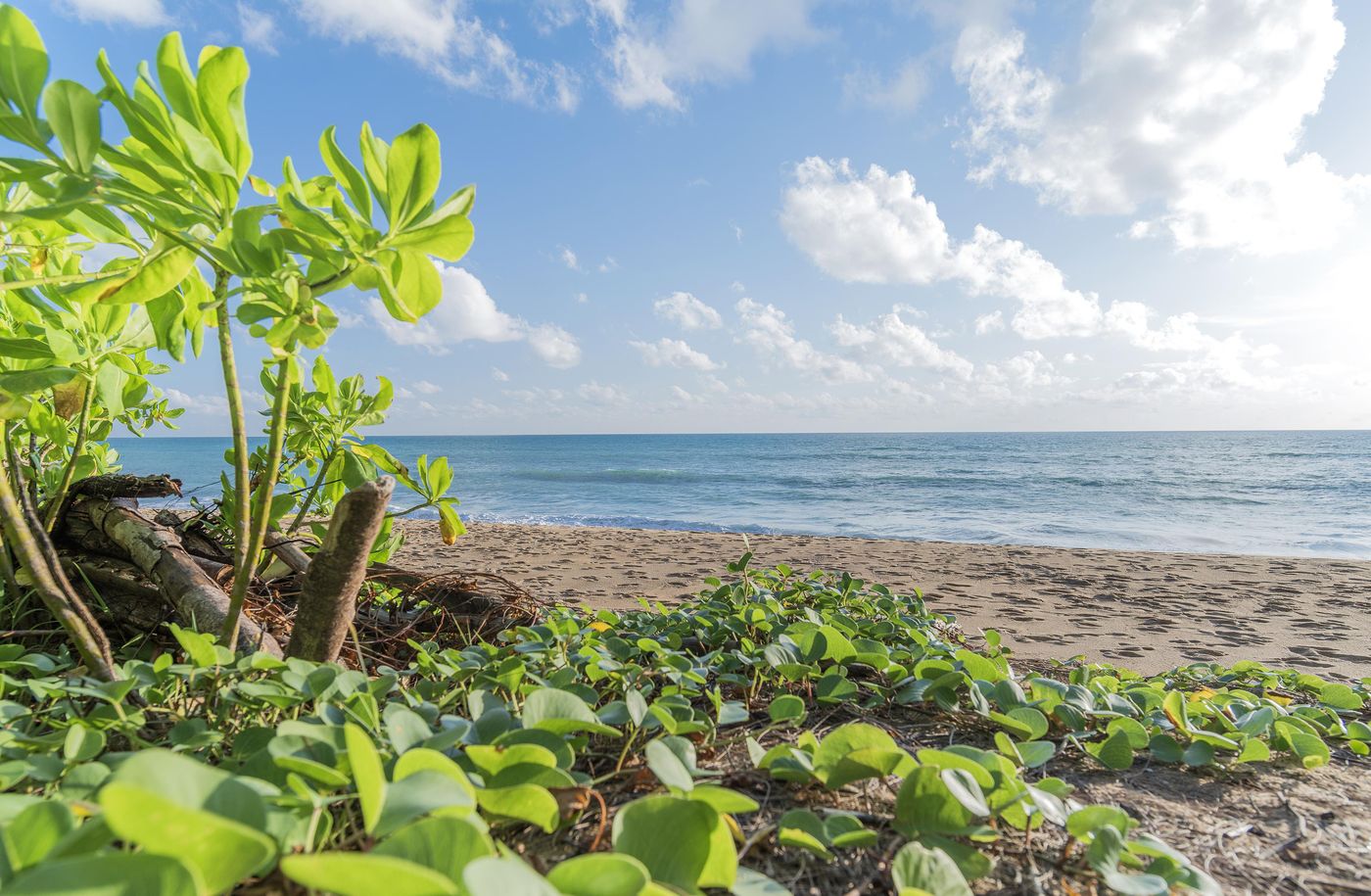 Renaissance-Phuket-Resort---Spa-Beach-88