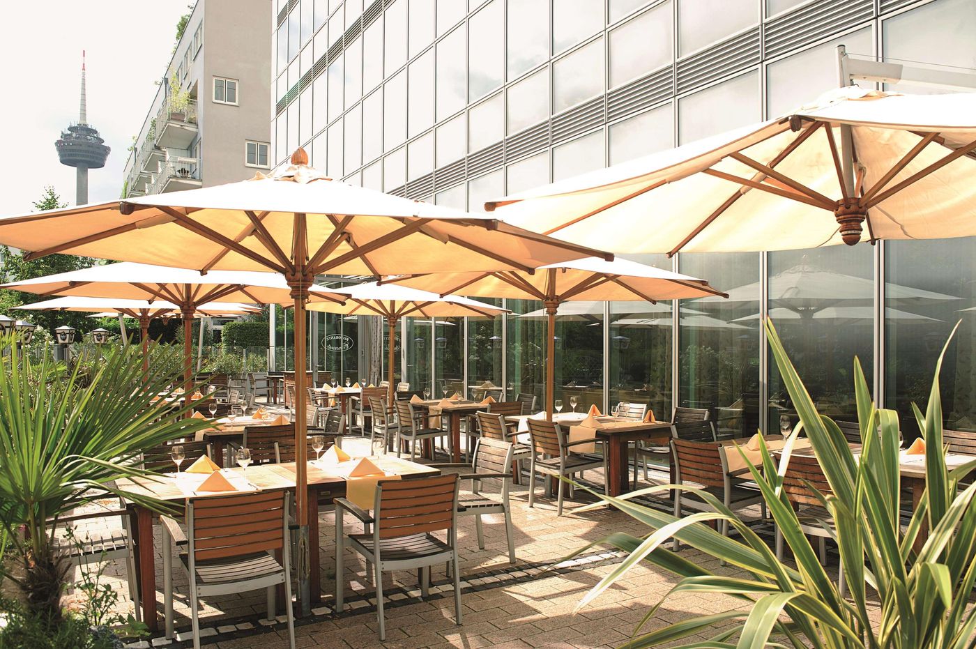 NH Collection Köln Mediapark - Germany - COLOGNE - Terrace - 6