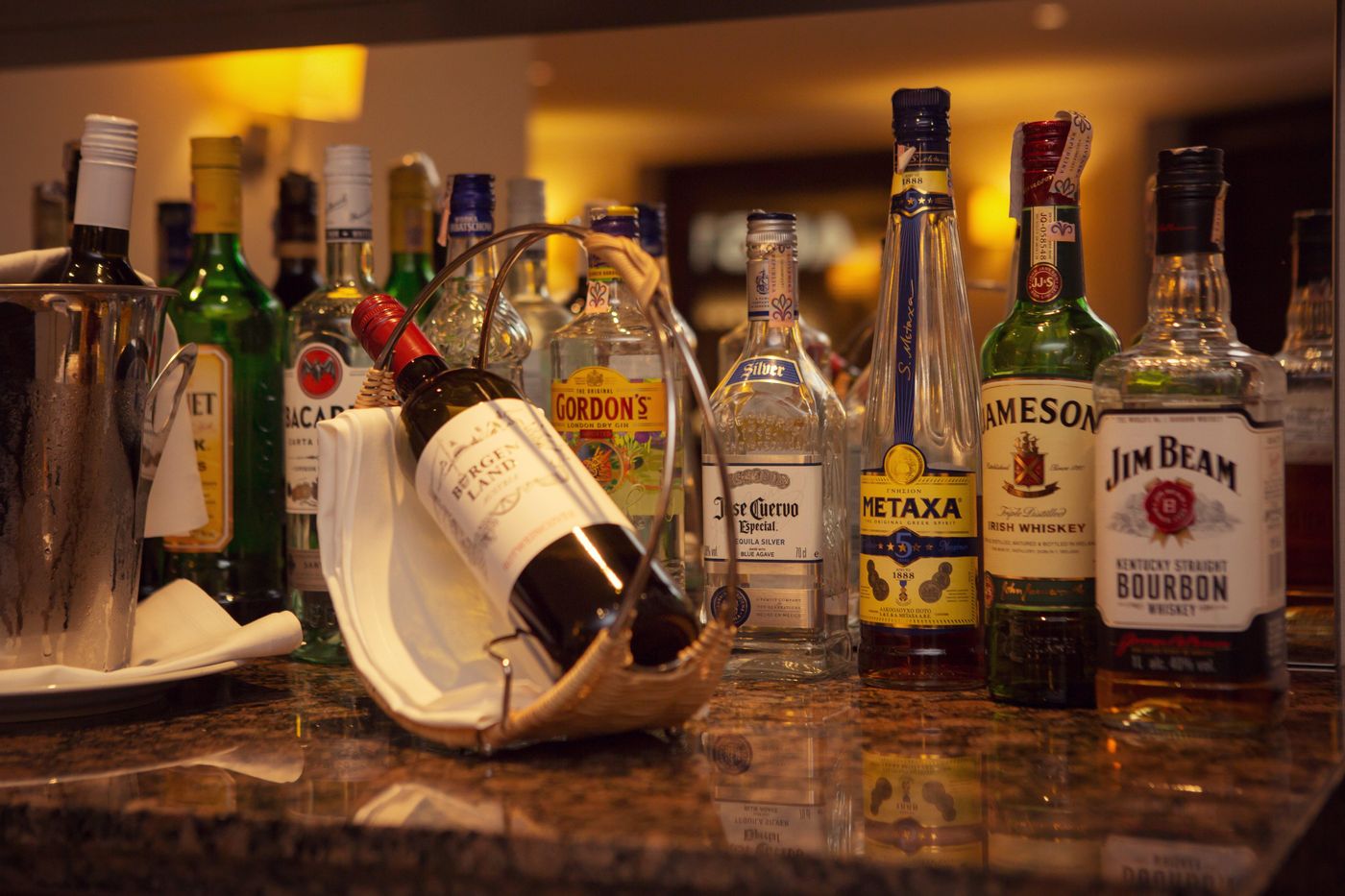 Crowne Plaza Bratislava-Slovakia-Bratislava-General view-5