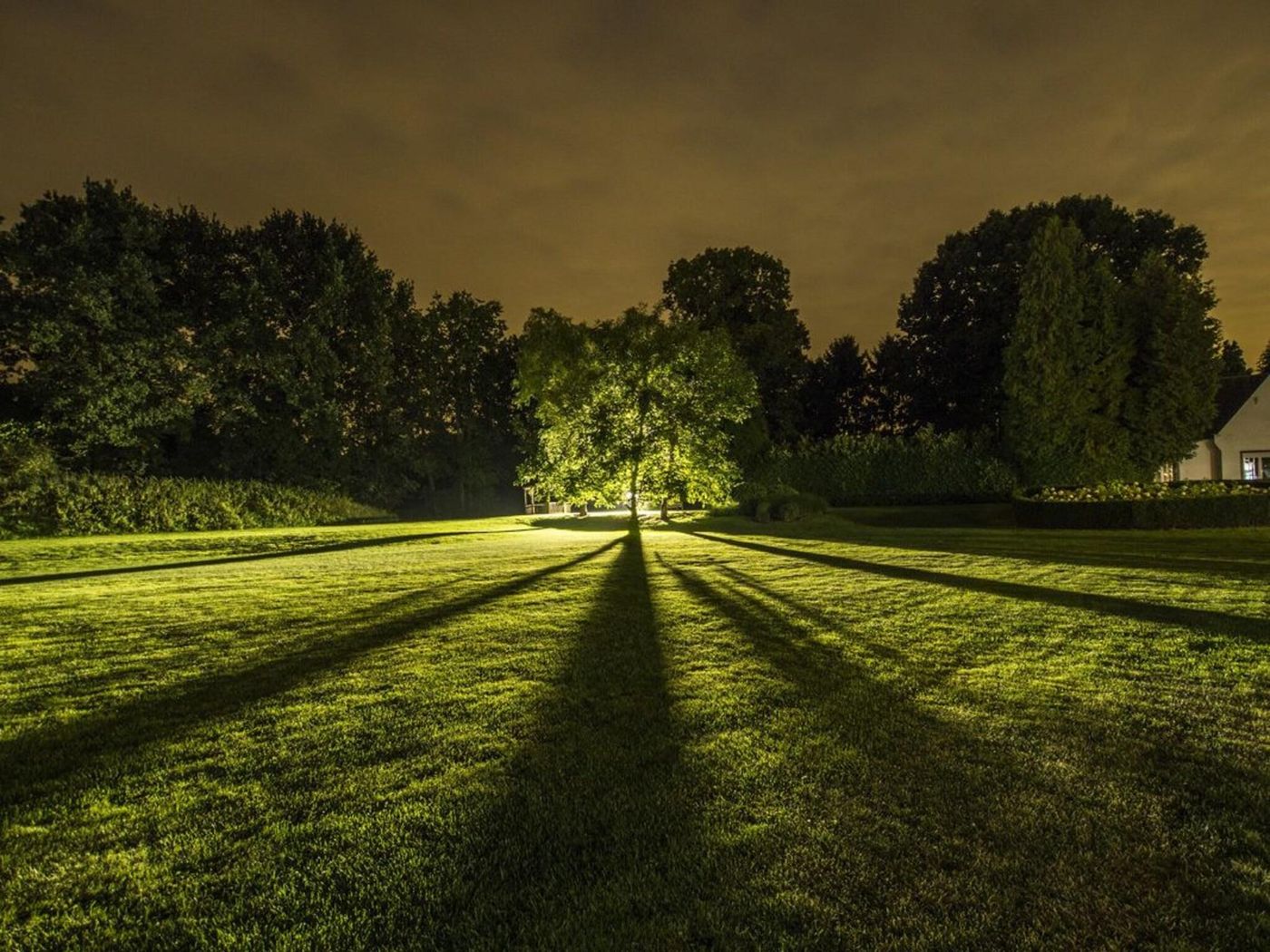 Domein Martinus-Belgium-ZOERSEL-General view-8