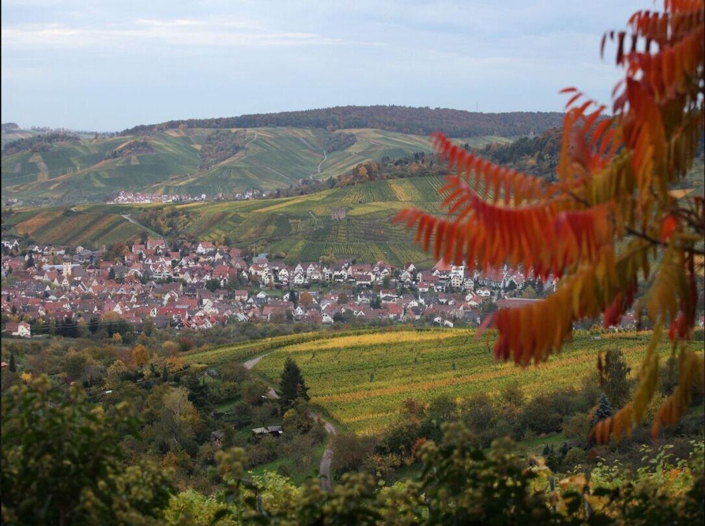 Gästehaus Schlegel-Germany-KERNEN-Room-9