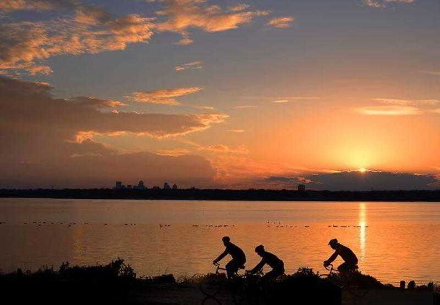 Courtyard Dallas Plano in Legacy Park-United States-PLANO-General view-5