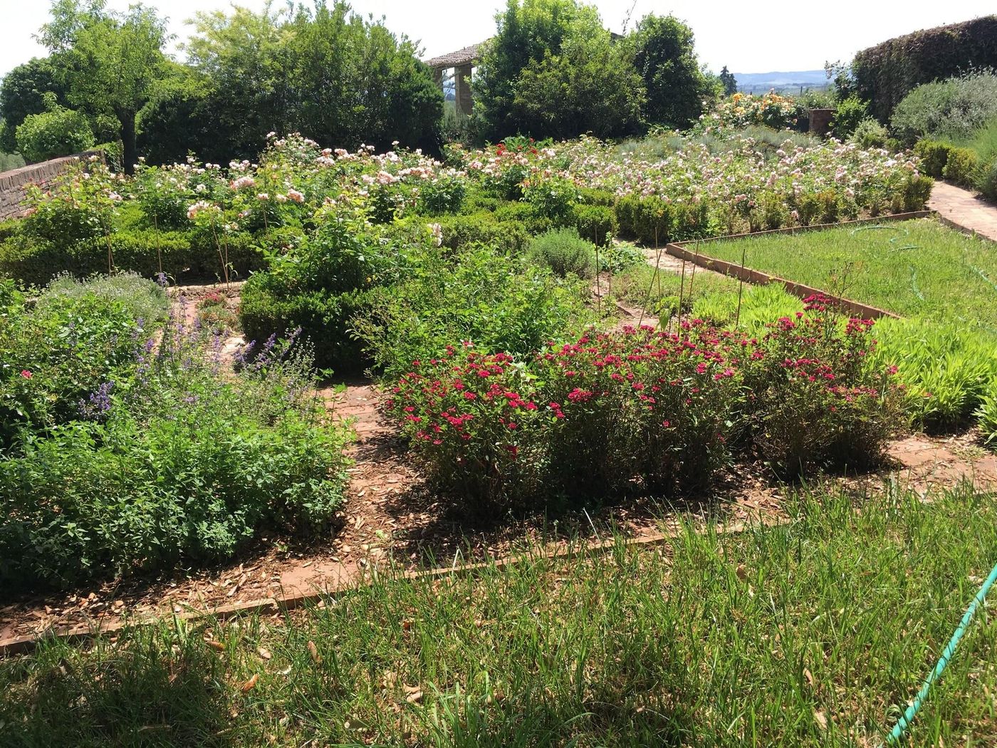 CA-Bianca-General-view-49