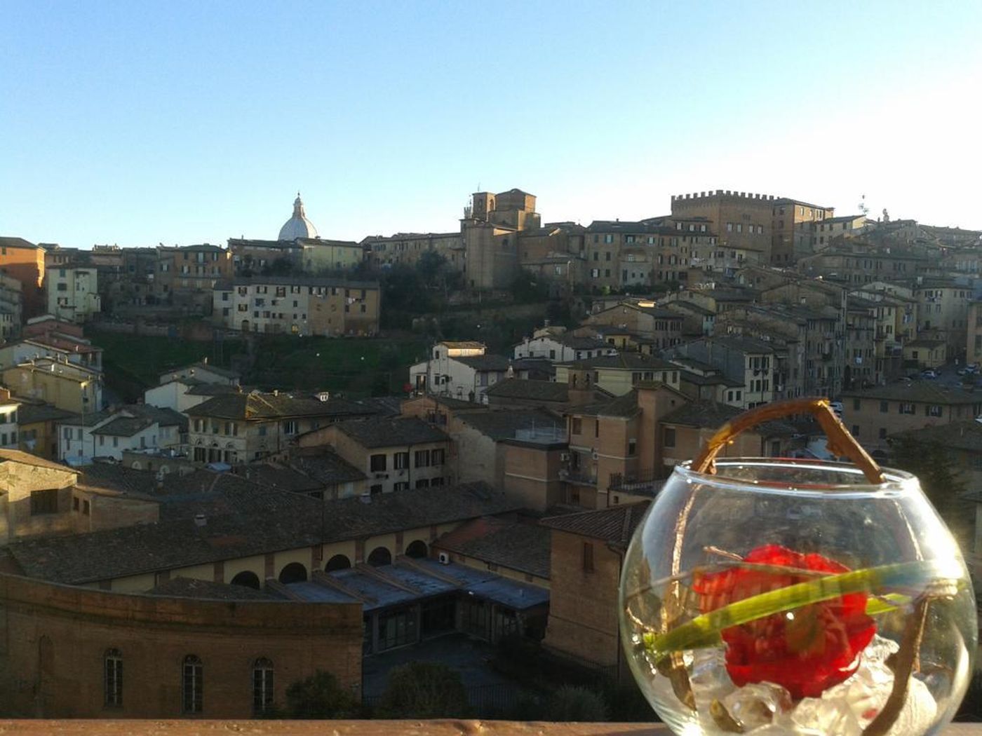 Minerva-General-view-66