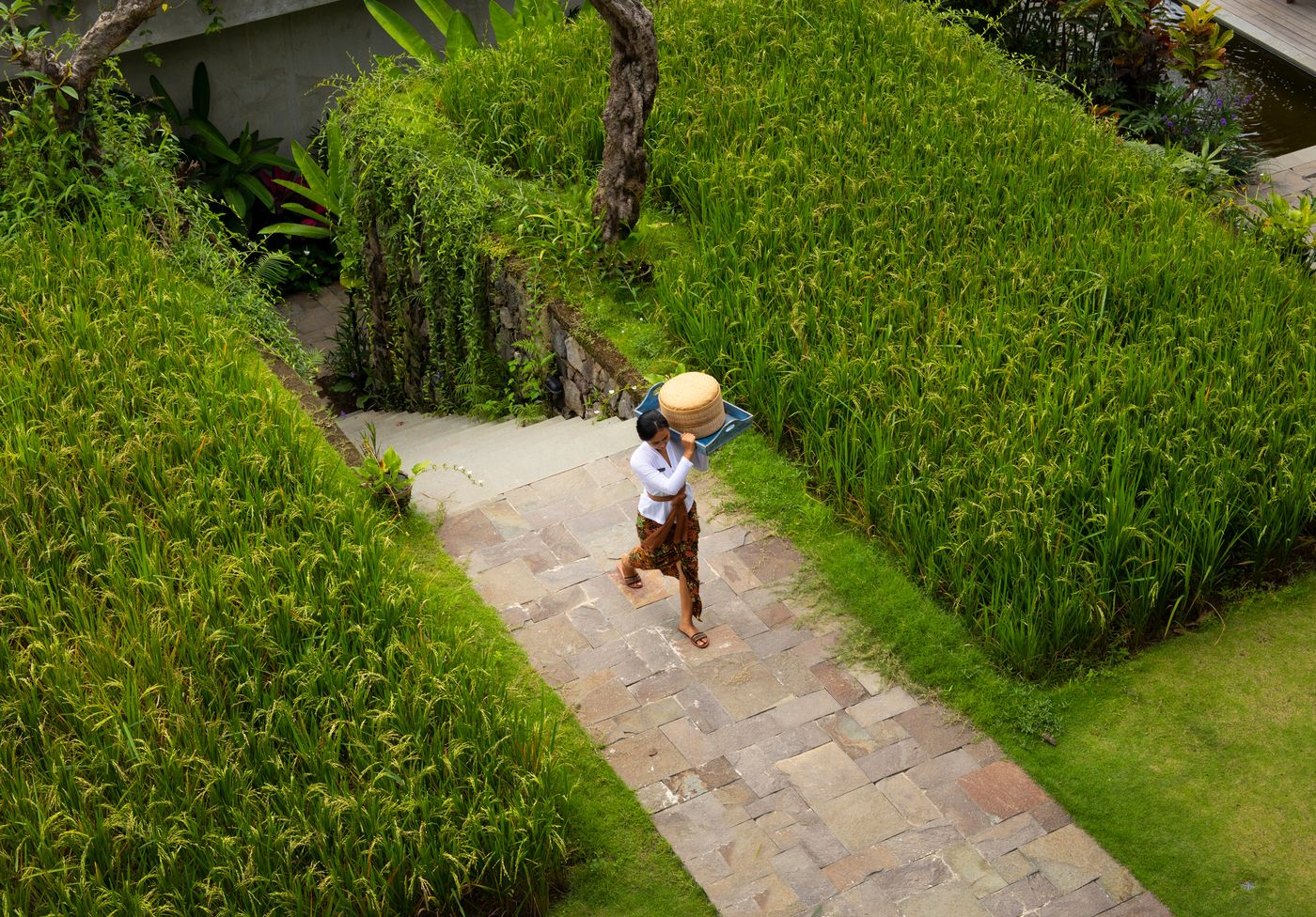 Adiwana Suweta-Indonesia-Ubud-General view-6