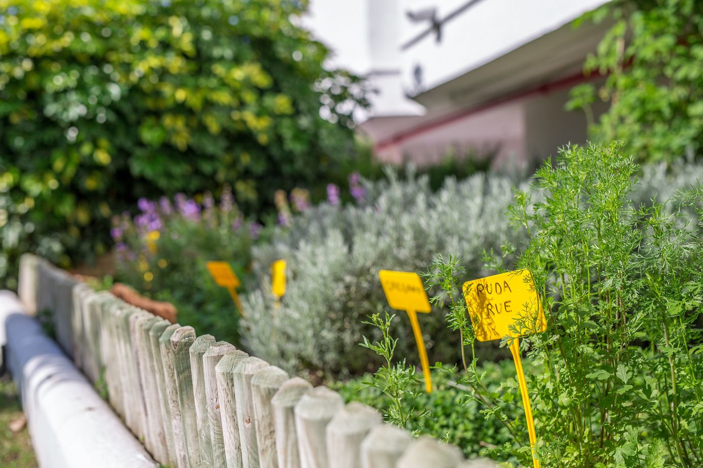 Sahara-Sunset-General-view-17