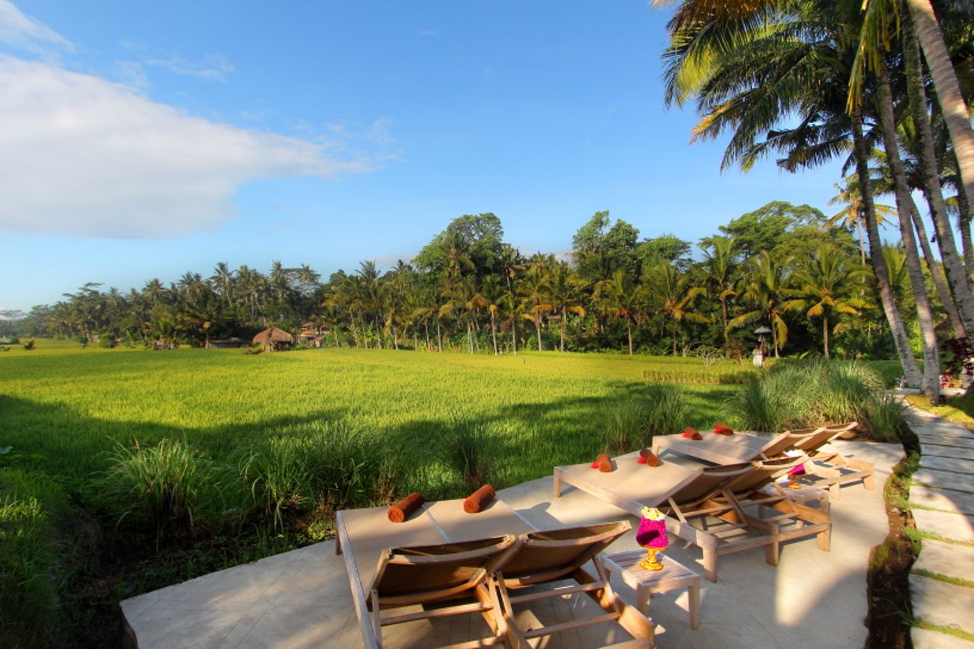 MATHIS Retreat Ubud-Indonesia-Bali-General view-7