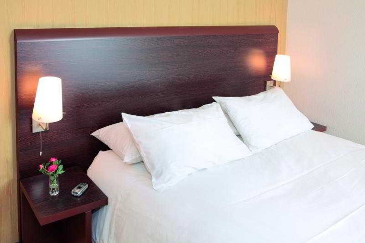 Park & Suites Elegance Grenoble-France-GRENOBLE-Room-5