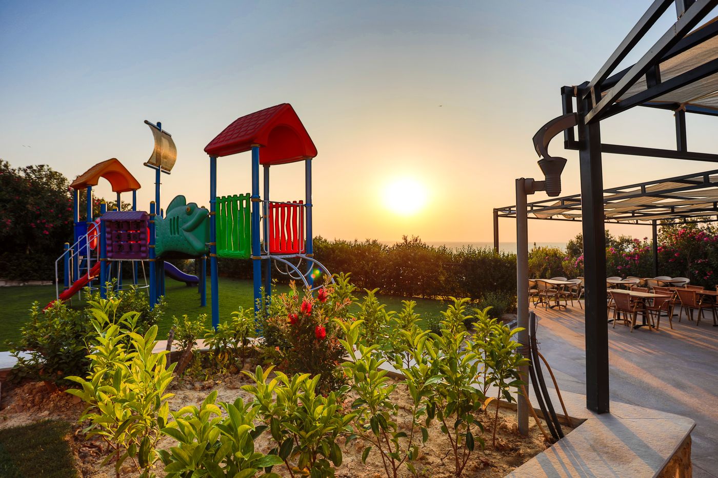 New - Sealight Family Club