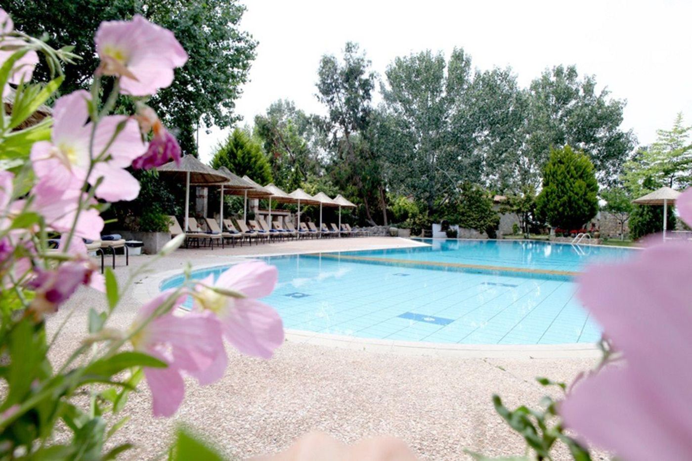 Petrino-Suites-General-view-16